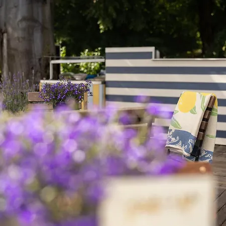 Sorell Zuerichberg Hotel 4*