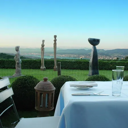 Otel Sorell Boutique-hotel Zuerichberg