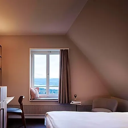 Sorell Boutique-hotel Zuerichberg 酒店 4*