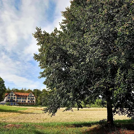 Sorell Zürichberg Hotel Zúrich