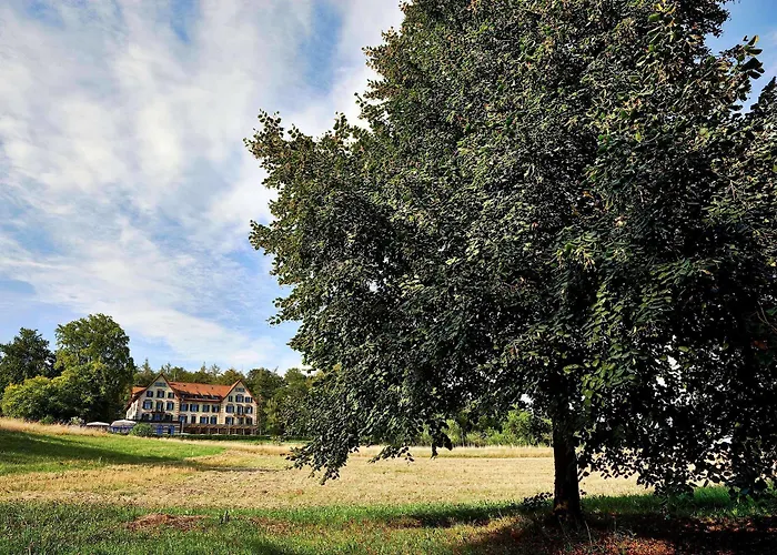 Sorell Boutique-hotel Zuerichberg ホテル チューリッヒ